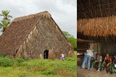 13 Cuba - Vinales - Tobacco Curing Barn.jpg